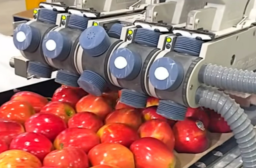 serv36 fait avec postermywall